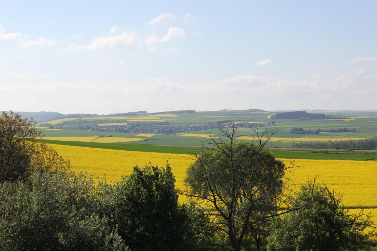 Ferienwohnung Zur Burg Eltz Wierschem Exteriér fotografie