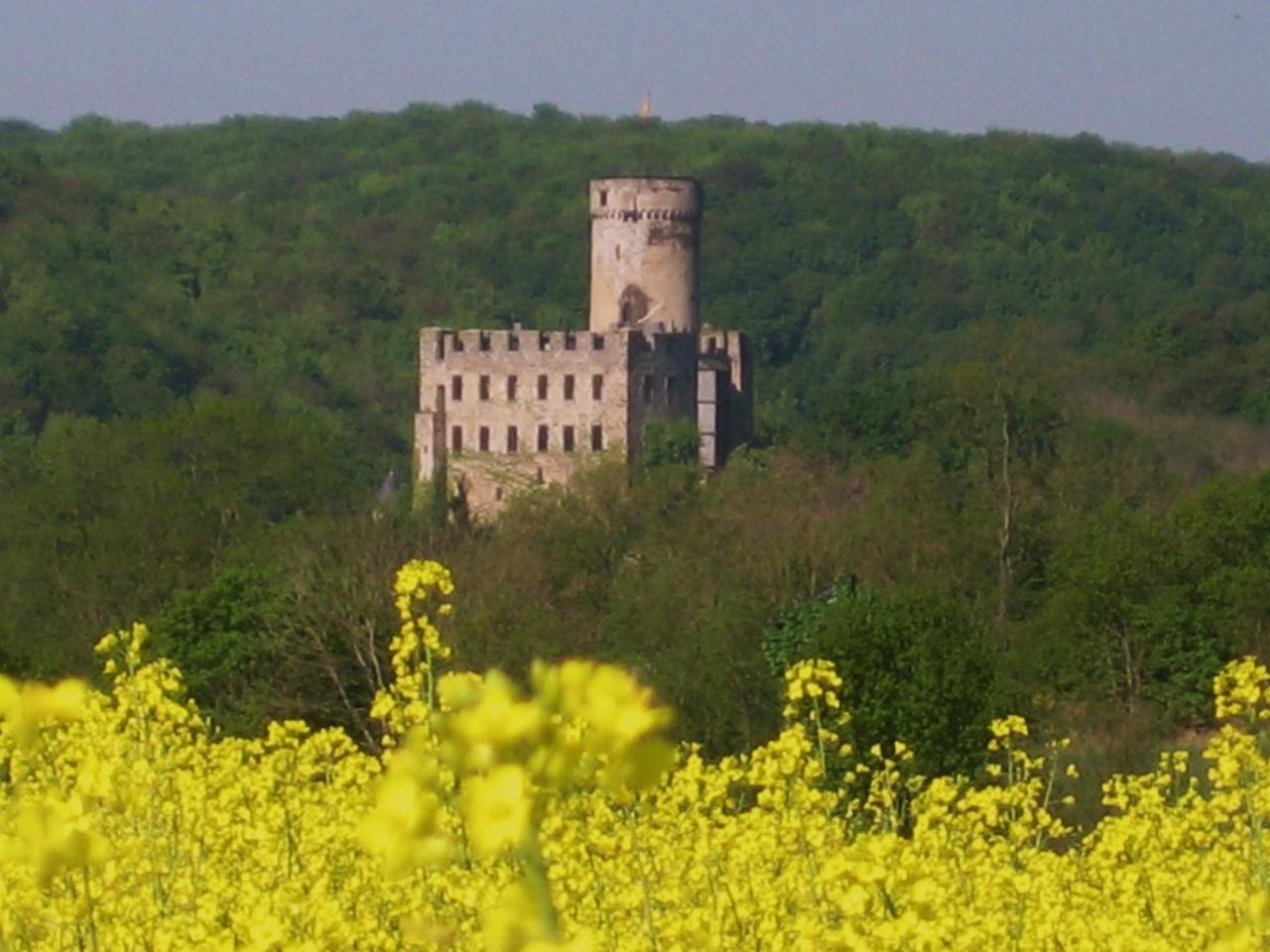 Ferienwohnung Zur Burg Eltz Wierschem Exteriér fotografie