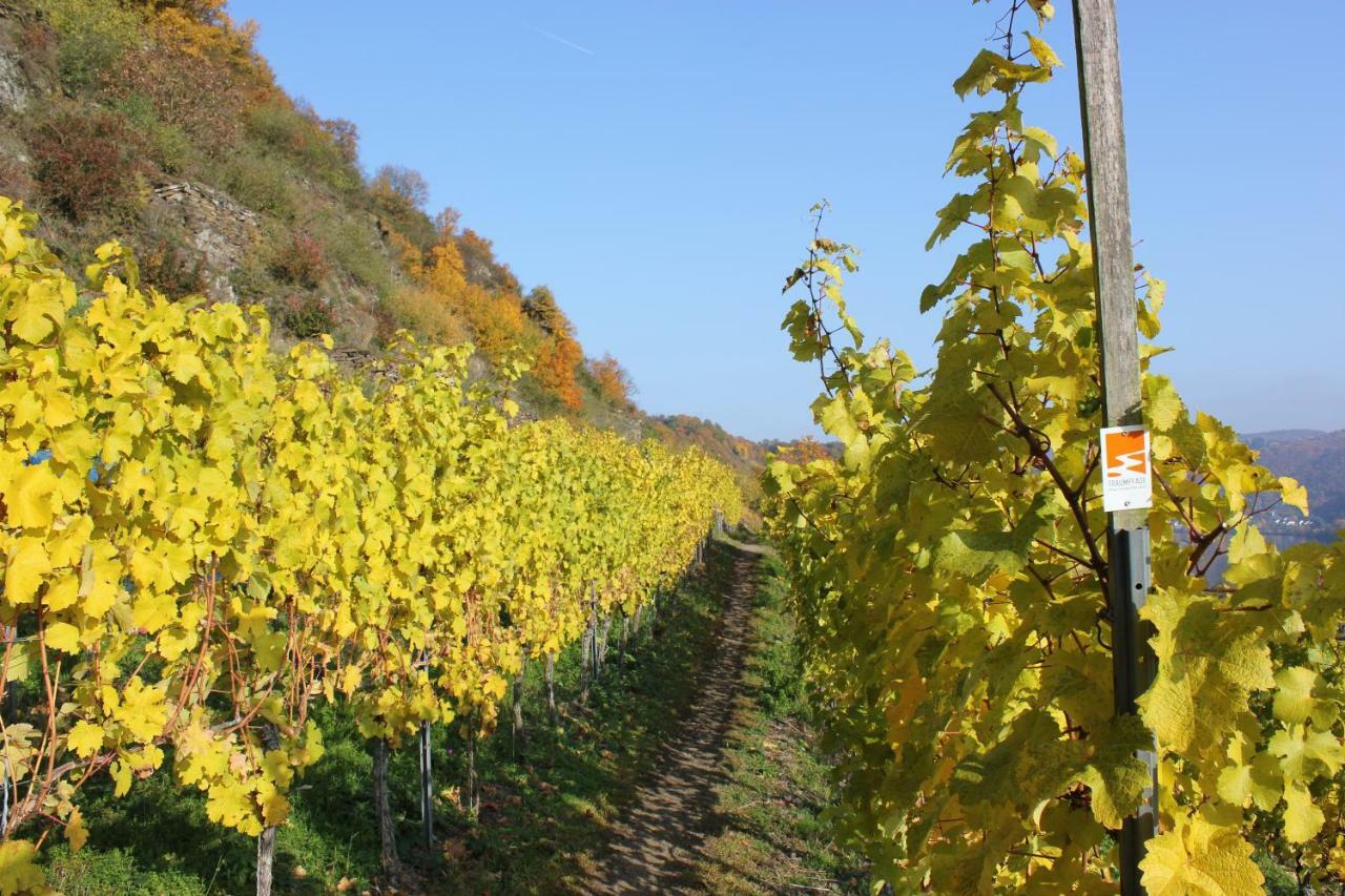 Ferienwohnung Zur Burg Eltz Wierschem Exteriér fotografie