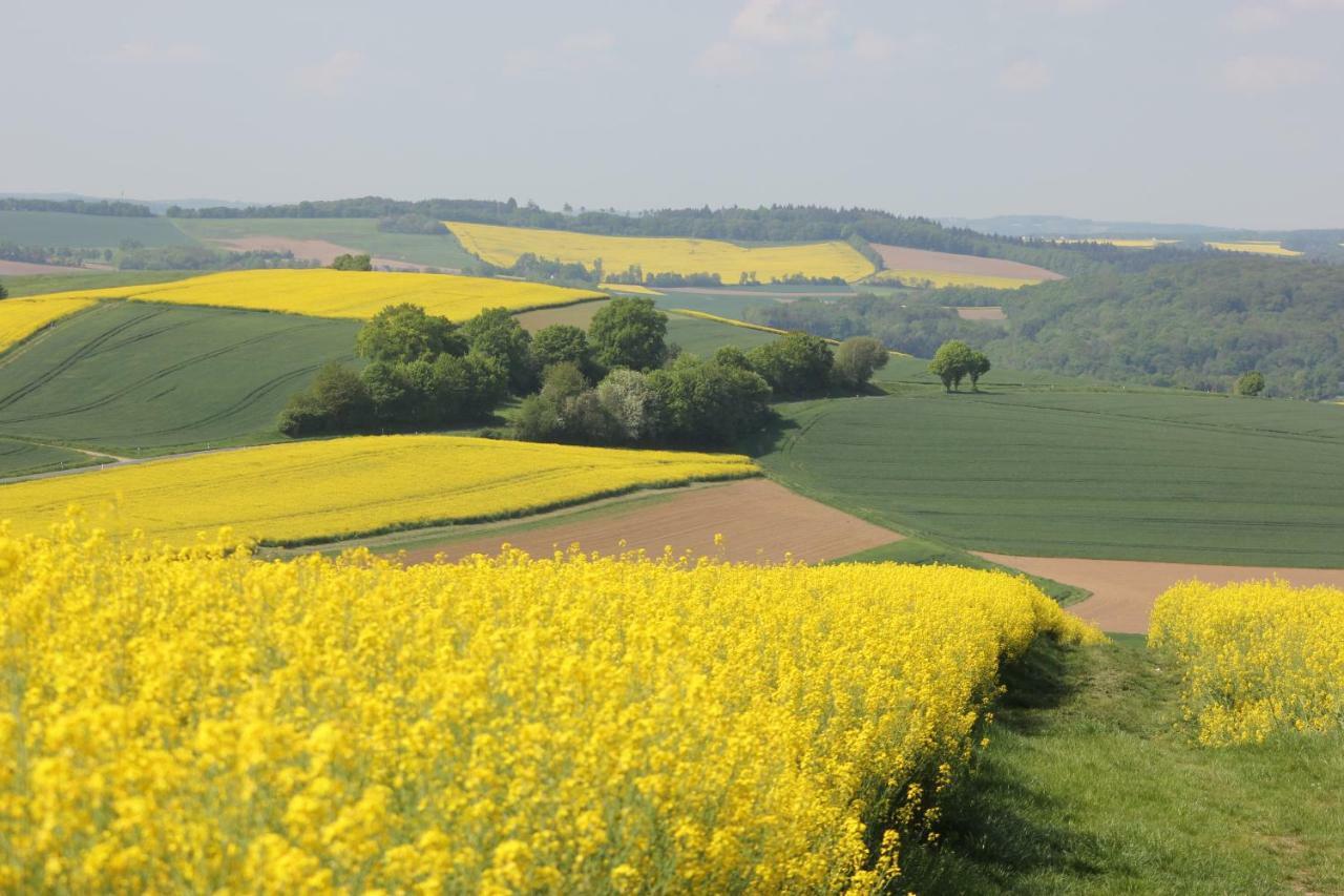 Ferienwohnung Zur Burg Eltz Wierschem Exteriér fotografie